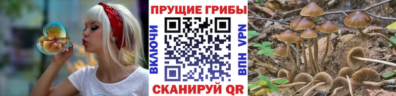 Галлюциногенные грибы Cubensis Шарья